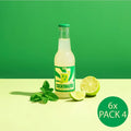 🍸 Mojito Premium – Cocktails prêts à boire (6 x Pack de 4)